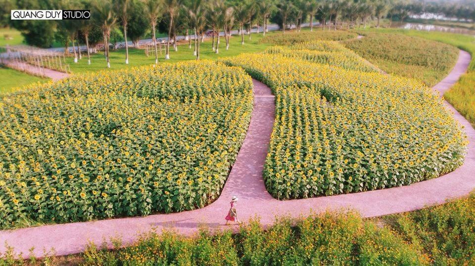 Sue Homestay Ecopark 흥옌시 외부 사진
